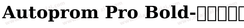 Autoprom Pro Bold字体转换